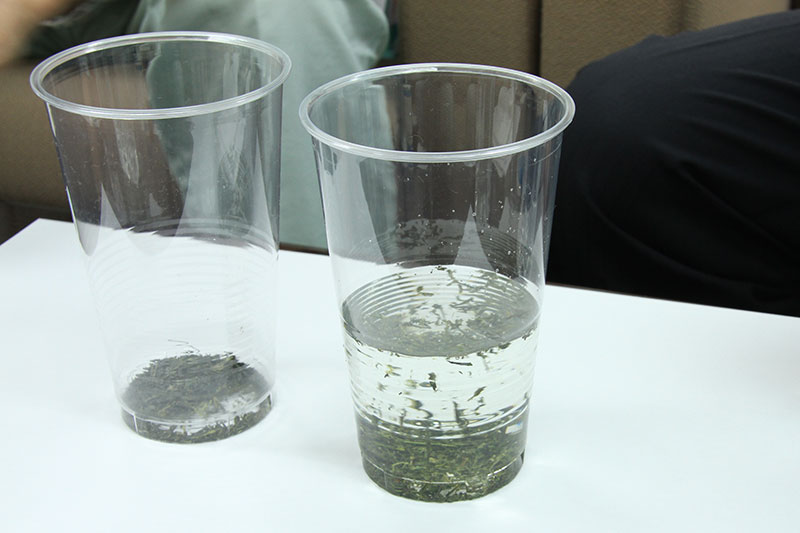 日本トリムの電解水素水と水道水でお茶の抽出力の比較実験：水道水では