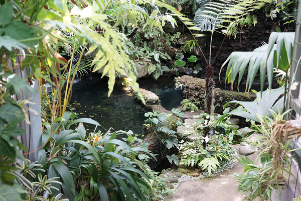 牧野植物園 ジャングル・滝スペース