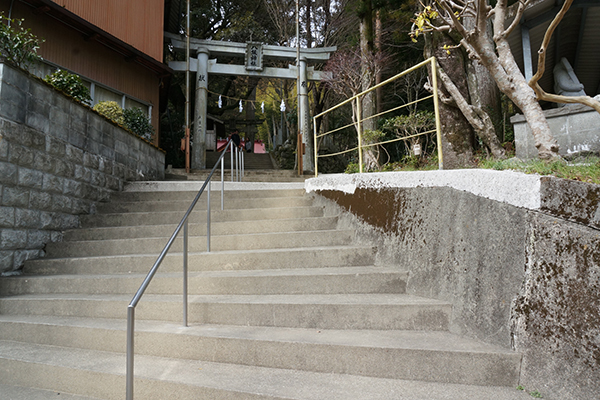 大豊町 日本一の杉の大杉 入口階段