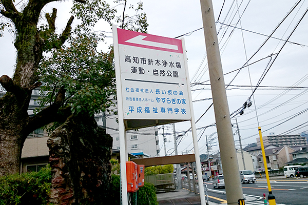 2016年 高知市桜情報 高知市針木浄水場 運動・自然公園01