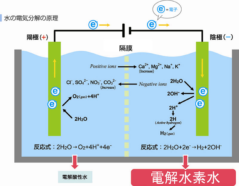 日本トリムの電解水素水をつくる整水器の仕組み