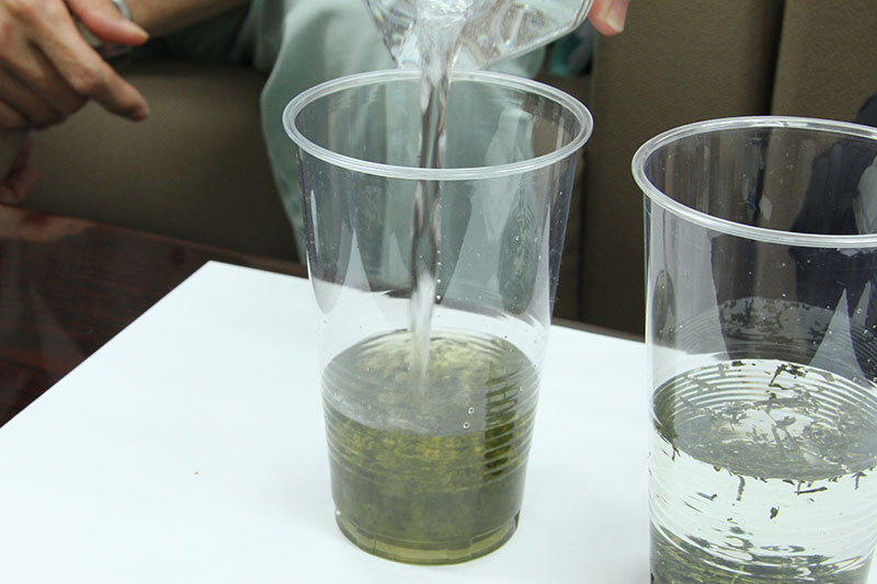 日本トリムの電解水素水と水道水でお茶の抽出力の比較実験：お茶ではすぐに成分が抽出される